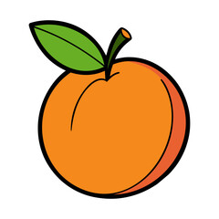 Colored apricot. Apricot icon isolated on white background. Vector illustration.