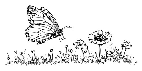 butterfly flying over flowers in meadow delicate line drawing