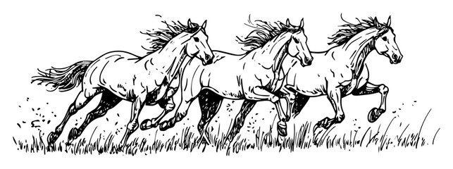 three galloping horses in grassy field dynamic line art