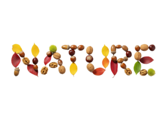 The word 'NATURE' formed with various colorful leaves, nuts, and seeds on a transparent background. Each letter is crafted from natural elements.