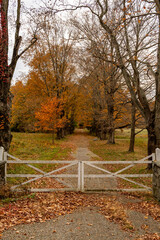 Autumn Pathway Behind Wooden Gate
