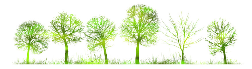 Obraz premium Green trees in the park . hand drawn. Not AI, Vector illustration.