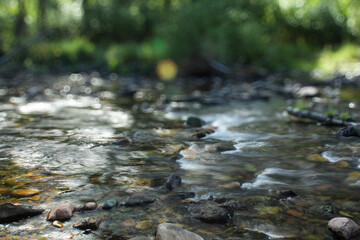 Close-up of moving creek