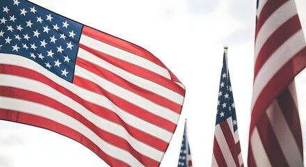 Fototapeta premium Multiple american flags displayed outdoors, representing national pride and patriotism during events