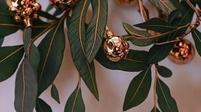 Circular Festive Wreath Composed of Eucalyptus Leaves, Mistletoe Berries, Emerald-Hued Spruce, and Pine Foliage