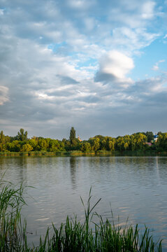 summer landscape with lake