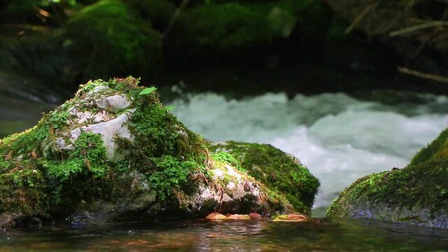 A 20-second still video of the Aude River in the Axat Valley. Water flows among rocks with small waterfalls in the forests of southern France.