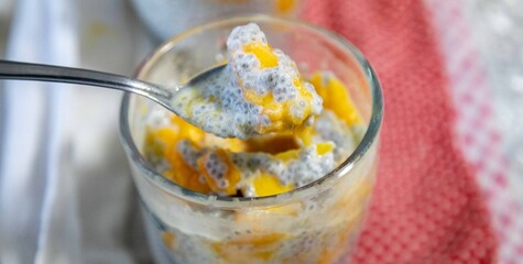 Chia Seed Pudding with Mango A Refreshing Treat. Kefir and milk