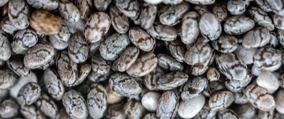 Close-up of chia seeds, a superfood.