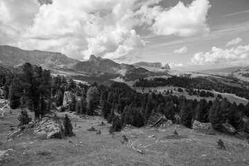 The wide meadows on the northern side of Sciliar mount in the Dolomites