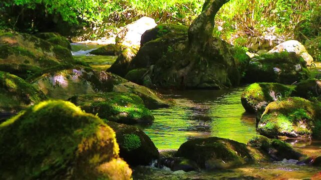 A 20-second still video of the Aude River in the Axat Valley. Water flows among rocks with small waterfalls in the forests of southern France.