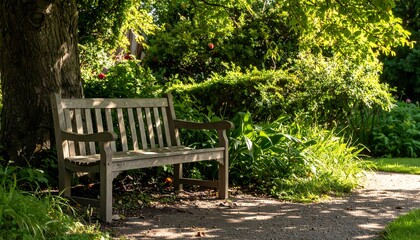 Fototapeta premium Quiet garden bench under tree, dappled light falling on it