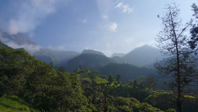 Misty Morning View of Tropical Mountain Range