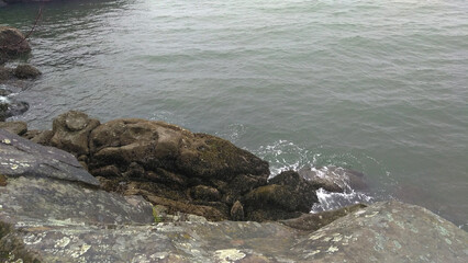 A rocky coastline in Washington