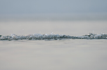 Tiny waves splashing and making bubbles on a peaceful water surface, creating a tranquil and relaxing atmosphere