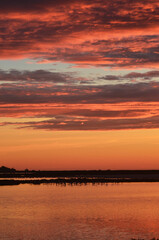 Vibrant sunset reflecting on calm water with birds flamingos in silhouette