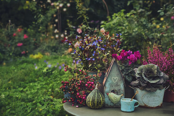 Autumn still life with decor and flowers in the garden.