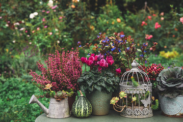 Autumn still life with pumpkins and autumn flowers
