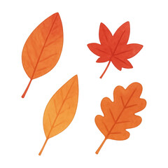 Fototapeta premium PNG Colorful autumn leaves illustration