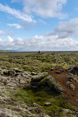 Lava field covered with green moss in summer in Iceland.