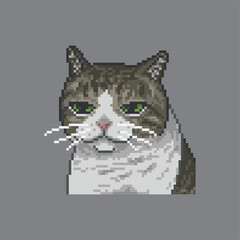 Bored cat, pixel art meme illustration