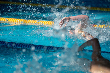 Race of freestyle swimmers boys in the pool