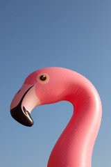 Close-up of an inflatable pink flamingo against a blue sky © sanchacampos
