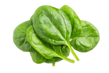 Obraz premium Fresh, vibrant spinach leaves glistening with water droplets ready for healthy recipes