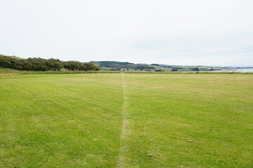 ニュージーランド　なにもない原っぱの風景