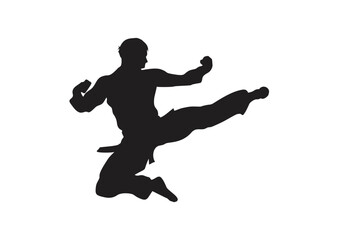 Fototapeta premium silhouette of a man karate- vector, isolated, air kick