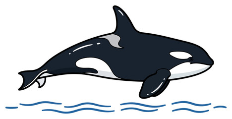 Fototapeta premium Illustration of a Killer Whale Swimming in the Ocean.