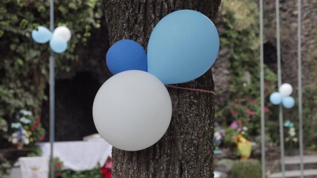 Tres globos colgados en un &aacute;rbol, con otros amarres de fondo