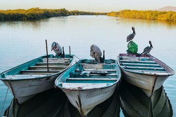 fishing boats on the river