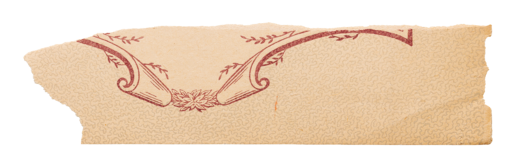 Tear strip of yellowed vintage book cover, old paper with red floral pattern isolated for collage