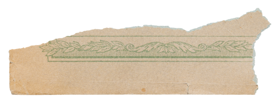 Torn strip of faded vintage book cover, old paper with green floral pattern isolated for collage - Powered by Adobe