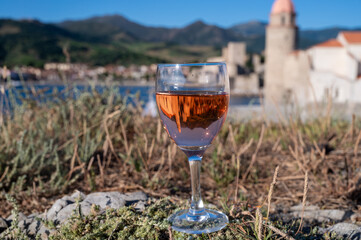 Glass of rose Collioure AOC wine in sunlights with view on old town Collioure, colorful houses, church, castle and beaches, Occitanie, France, tourists destination