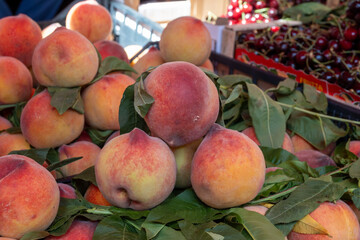 New harvest of fresh ripe sweet yellow-red peaches fruits in Provence, south France