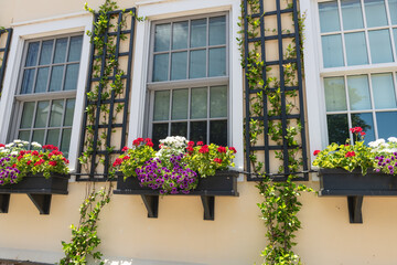  Vibrant flower boxes with red, white, and purple blooms decorate a historic home in downtown Charleston.