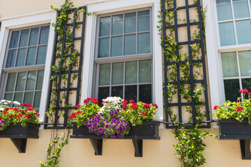 Fototapeta premium Vibrant flower boxes with red, white, and purple blooms decorate a historic home in downtown Charleston.