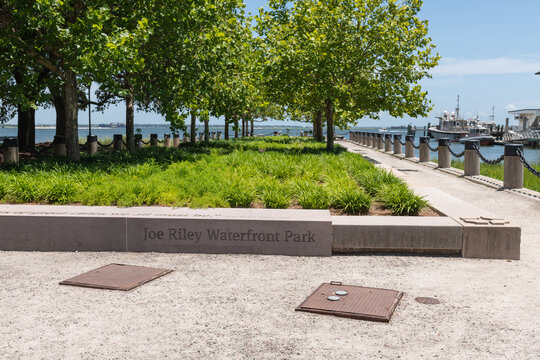 Charleston, South Carolina, USA - July 2, 2025: Joe Riley Waterfront Park with trees, greenery, and harbor views on a sunny summer day.