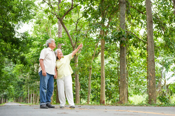 Happy Asian senior couple enjoying a walk and nature, Seniors on a discovery walk in the woods, Elderly couple pointing up in a park