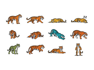 Tiger Collection: A set of vector illustrations showcase the tiger in various dynamic poses, each meticulously crafted to highlight the tiger's powerful and graceful form.