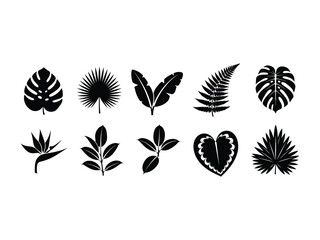 Exotic Leaf Collection: A collection of various exotic leaves, each leaf is isolated in black and captures the diverse forms, shapes, and textures. Each leaf presents unique artistic interpretation 
