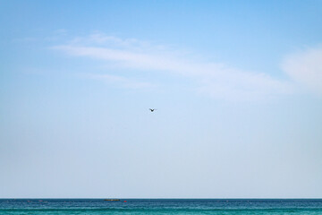 idyllic seascape with a flying seagull on the sea