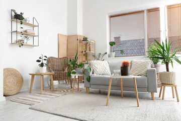 Interior of stylish living room with grey sofa, coffee table and houseplants