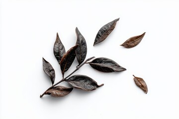 Fototapeta premium Dried tea leaves against a plain white backdrop