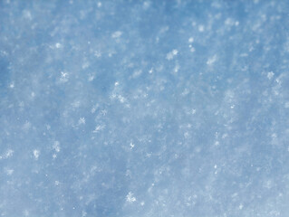 Macro photograpy of snowflakes. Background of winter fluffy snow texture.