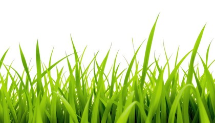 Fototapeta premium Bright green grass blades filling the frame against a clean white background showcasing freshness and new growth