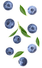 scattered blueberries with fresh green leaves showcase natural goodness