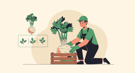 Farmer Harvesting Fresh Root Vegetable, Illustrative Depiction Of Gardening And Agriculture